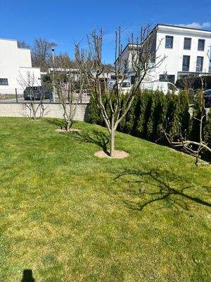 PHOTO-2025-03-29-15-59-01[10]