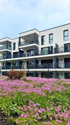 20250603 BUL EF (7).jpg