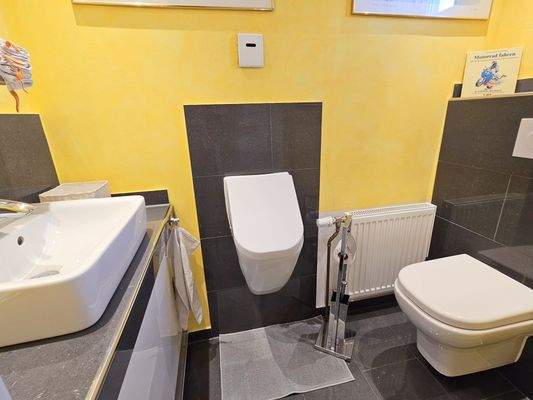 Gäste WC Ansicht 1.jpg