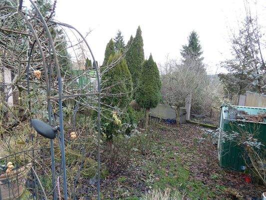 für den grünen Daumen