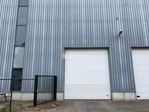 Wuppertal Halle, Wuppertal Hallenfläche