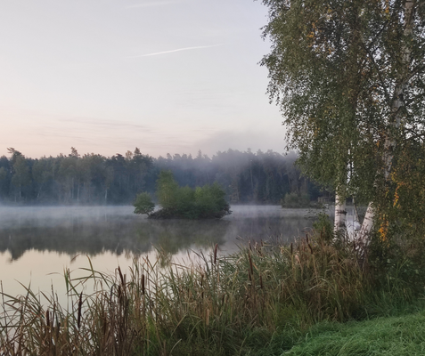 2025 Whg 4 DG (3).png