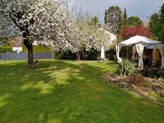 Eingewachsener Garten