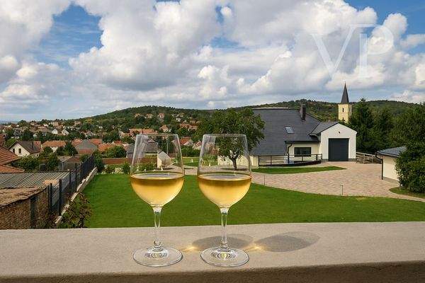 Két pohár fehérbor e