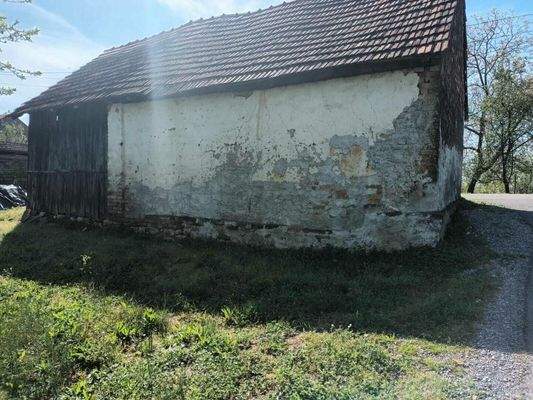 WhatsApp Image 2024-04-25 at 15.54.18 (2)