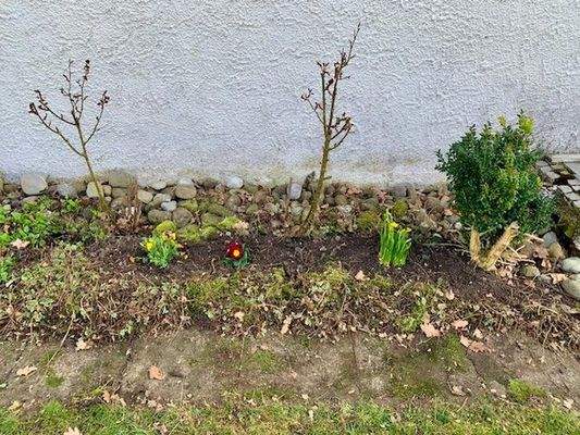 Frühlingsimpressionen