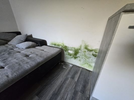 Bild 17