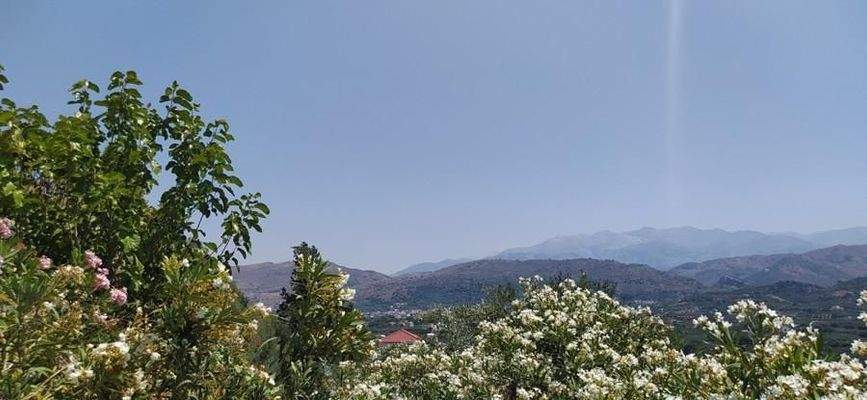 Kreta, Daratsos: Grundstück in ruhiger Lage neben der Stadt Chania zu verkaufen