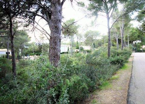 Costa de los Pinos Häuser, Costa de los Pinos Haus kaufen