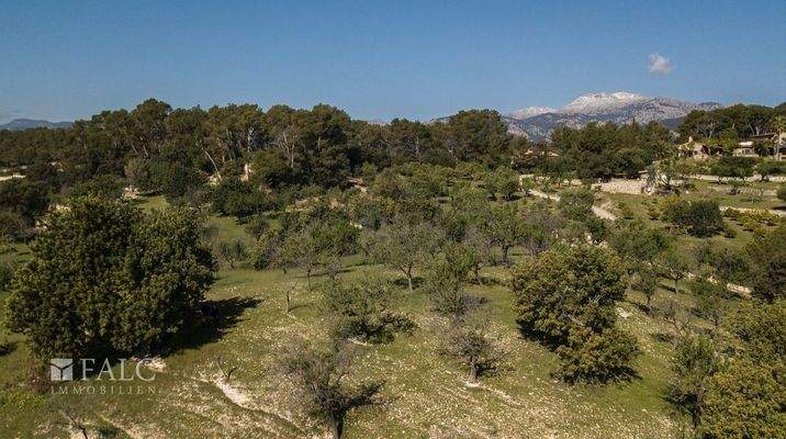 grundstueck-selva-30