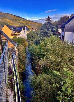 Blick von der Terrasse (Bach- u. Weinbergsblick)