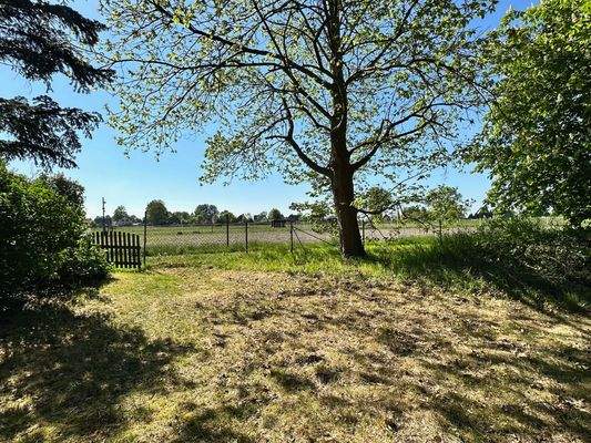 Blick auf die angrenzenden Pferdewiesen