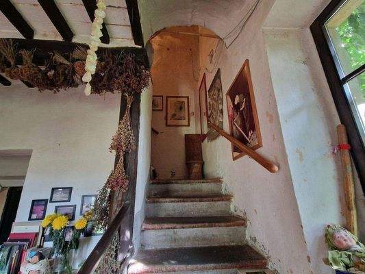 66LAzienda_ agricola_Toskana.jpg