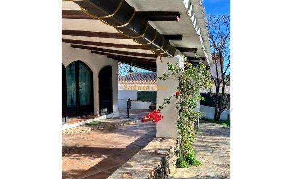 Stazzu mit Charme.09.jpg