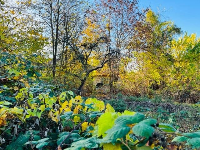 Schönes teilbares Eckgrundstück für zwei Stadtvillen oder Doppelhaus in grüner Umgebung