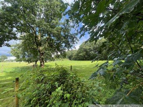 Edewecht Bauernhöfe, Landwirtschaft, Edewecht Forstwirtschaft