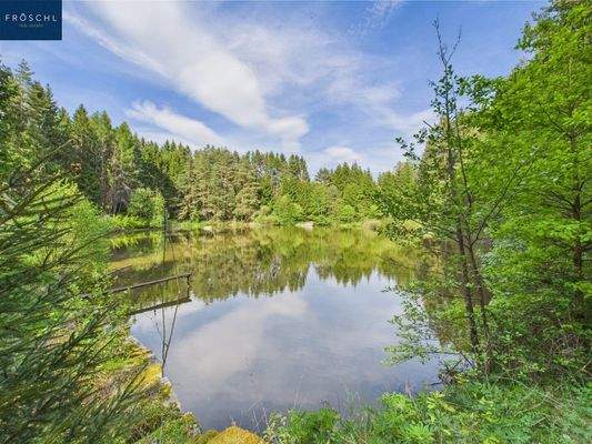 Ansicht Teich 1 - Pic 4