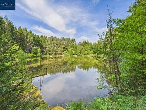 Heidenreichstein Bauernhöfe, Landwirtschaft, Heidenreichstein Forstwirtschaft