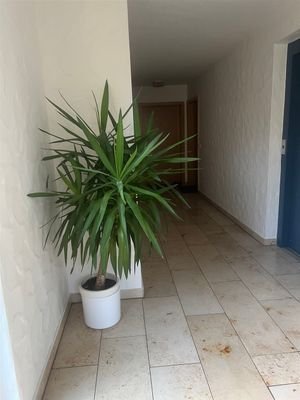 Eingang zur Wohnung