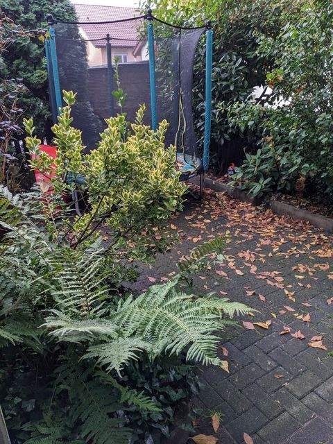 Aschaffenburg Häuser, Aschaffenburg Haus kaufen