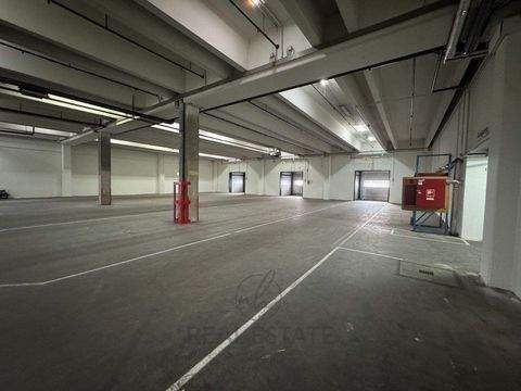 Bad Oldesloe Halle, Bad Oldesloe Hallenfläche