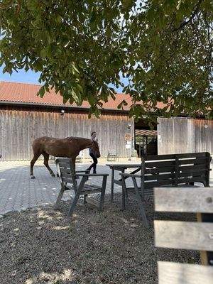 Stallgebäude, Sitzgelegenheit