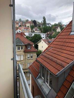 Seitlicher Fernblick_2