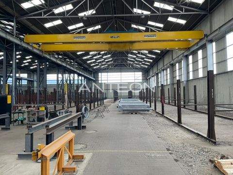 Duisburg Halle, Duisburg Hallenfläche