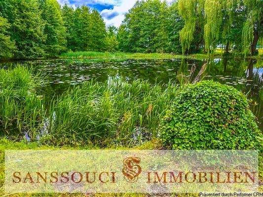 Blick auf den Mühlenteich