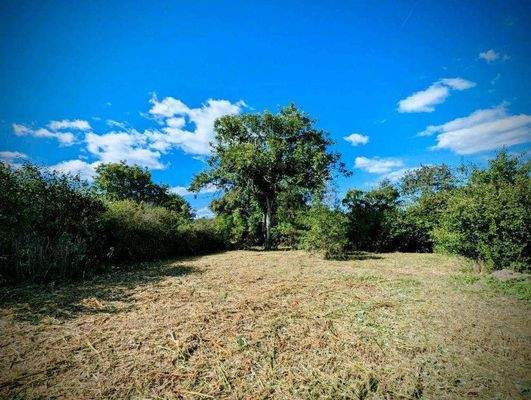 d283cacb32bbf099b9b90ba9db18d1