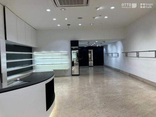 20250129_1010, Rauhensteingasse 10_NI (4)