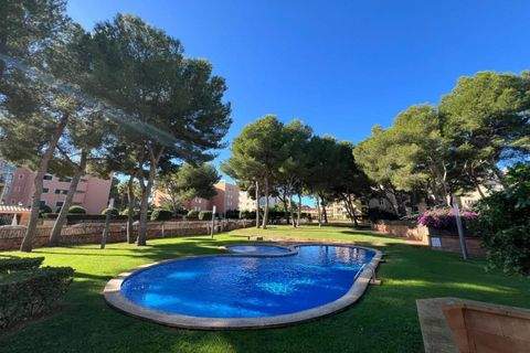 Maioris Decima Wohnungen, Maioris Decima Wohnung mieten