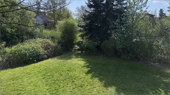 Blick aus dem Wohnzimmer