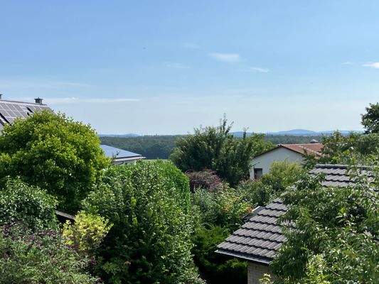 Blick in den Wiesengrund