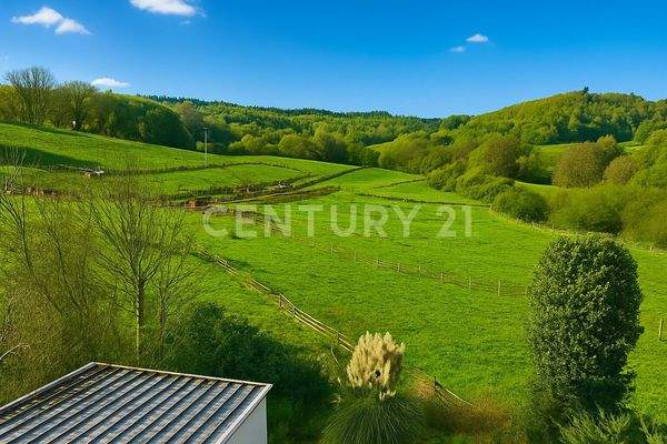 Unverbaubarer Blick ins Grüne