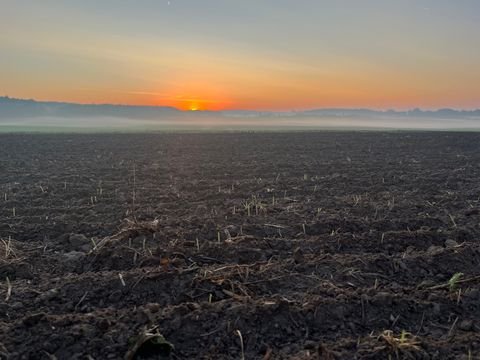 Crivitz Bauernhöfe, Landwirtschaft, Crivitz Forstwirtschaft