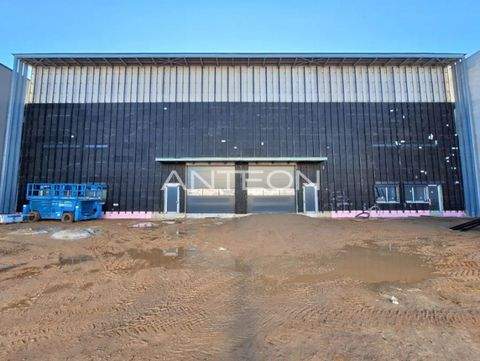 Düsseldorf Halle, Düsseldorf Hallenfläche