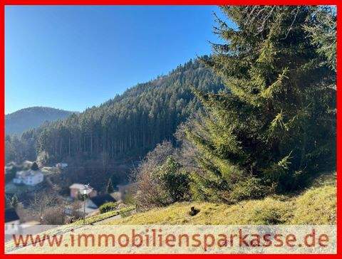 Bad Wildbad Grundstücke, Bad Wildbad Grundstück kaufen