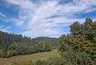Ausblick