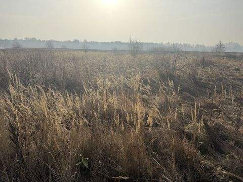 Sassenburg Industrieflächen, Lagerflächen, Produktionshalle, Serviceflächen