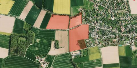 Bückeburg Bauernhöfe, Landwirtschaft, Bückeburg Forstwirtschaft