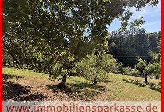 Hier entstehen Wohnträume!