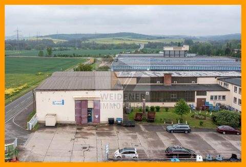 Gera Halle, Gera Hallenfläche