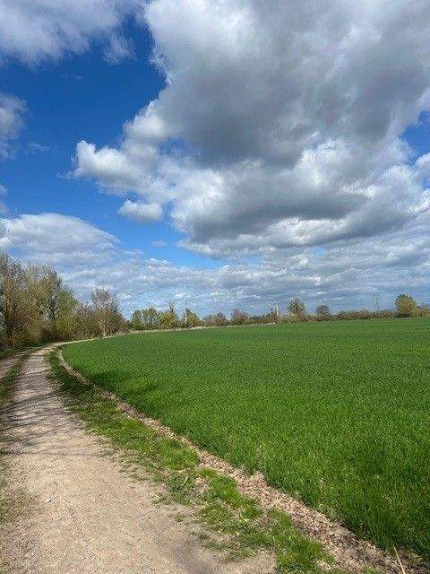 Kehl Bauernhöfe, Landwirtschaft, Kehl Forstwirtschaft