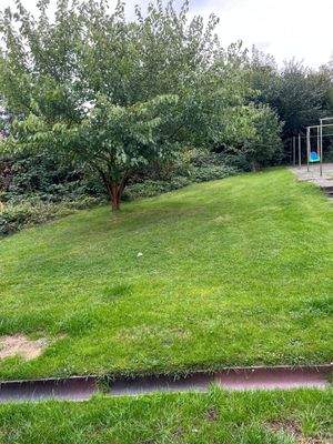 WhatsApp Image 2025-10-03 at 19.11.46 (1)