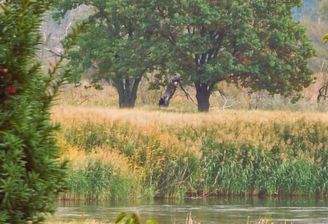 Oderblick aus dem OG