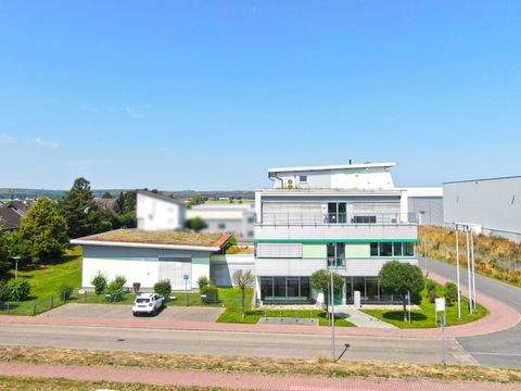 Trebur-Geinsheim Büros, Büroräume, Büroflächen 