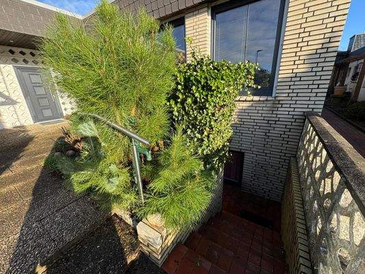 Außenansicht mit Kellerzugang