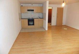 Zimmer mit Einbauküche