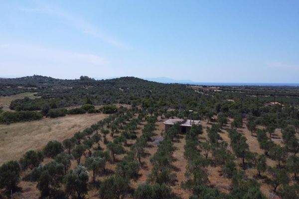 Kreta, Mouzouras: Flaches Grundstück mit Panoramablick zu verkaufen